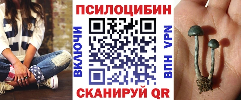 Купить закладки  Белово  Галлюциногенные грибы Psilocybine cubensis 
